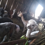 received_2312291455514362