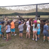 received_2322641381282506