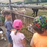 received_2327014377566471