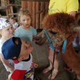 received_2333336310264784