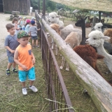 received_2391277131154525