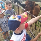 received_298913440993456