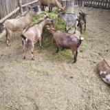 received_310483356501295