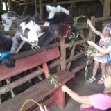 received_311037809782339