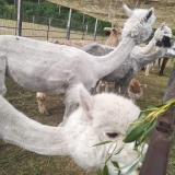 received_324988635067968