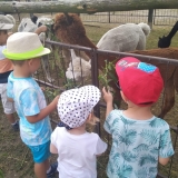 received_333295577618411