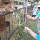 received_335199693814066