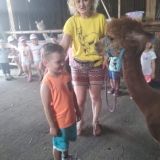 received_348148449208429