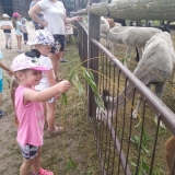 received_373570019942457