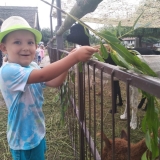 received_383625685597247