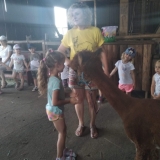 received_385489728752057