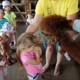 received_393688771244796