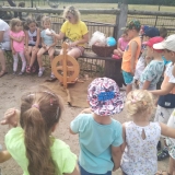 received_394623917928128