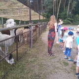 received_408904579701732