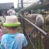 received_439118376689838