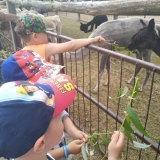 received_456274664939540