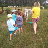 received_465945984140170