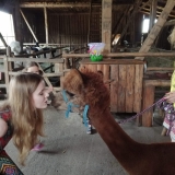 received_480336886037341