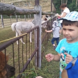 received_587047608485555