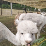 received_863522804008769