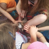 received_882895218728452