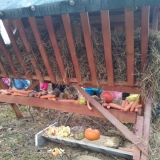 received_1148502785494656