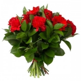 500_500_productGfx_d3d2a422ccf2b90259bf7e5a3012c7e6