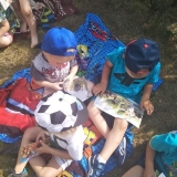 received_347678219230005