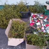 received_1003801763142454