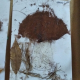 IMG_20181023_150445 (Copy)