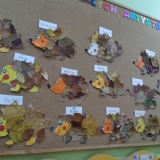 IMG_20181023_150528 (Copy)