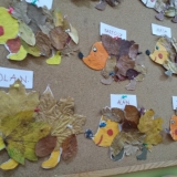 IMG_20181023_150532 (Copy)