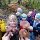 received_524648561661499