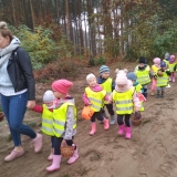 IMG_20181019_095307 (Copy)