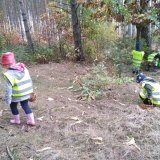 IMG_20181019_100144 (Copy)