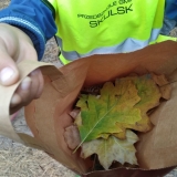 IMG_20181019_101403 (Copy)