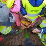 IMG_20181019_105542 (Copy)