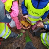 IMG_20181019_105544 (Copy)