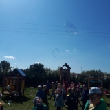IMG-20220429-WA0019