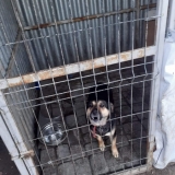 received_652327902207556