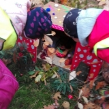 received_410125030714261