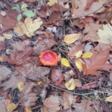 received_618574995822383