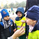 IMG_20211028_101800_1