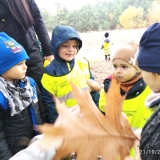 IMG_20211028_101804_1