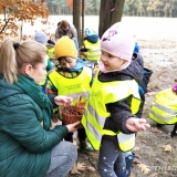 IMG_20211028_102032_1