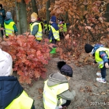 IMG_20211028_102252_1