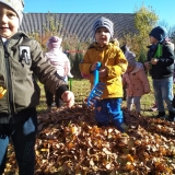 received_2218620178372522