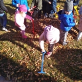 received_304436253727435