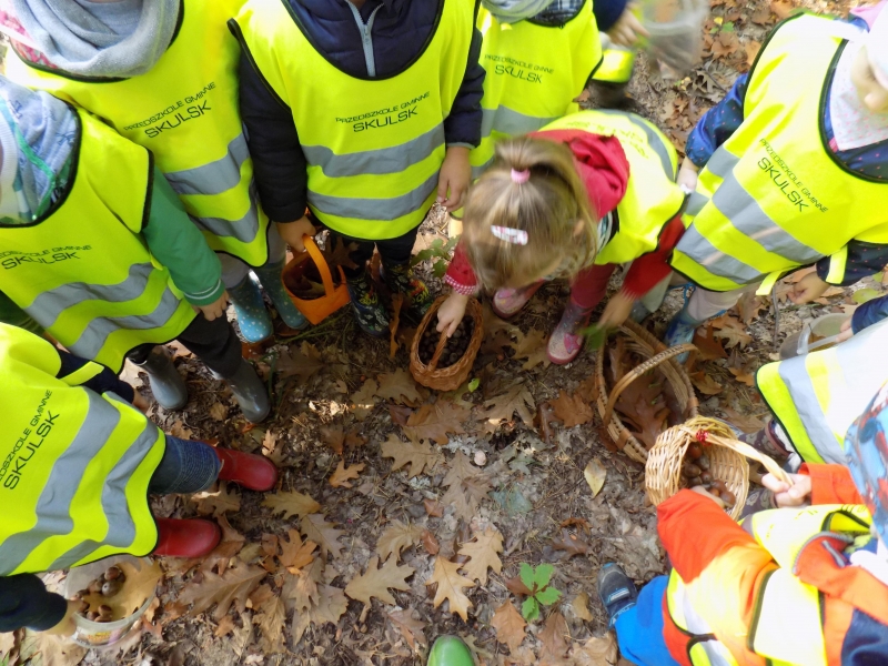 Jesienna wycieczka do lasu.