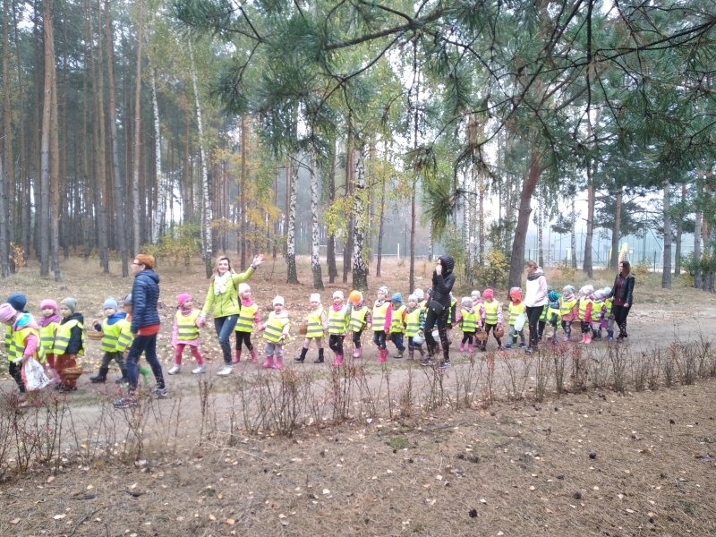 Wycieczka leśną ścieżką…